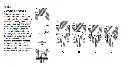 Capture.webp