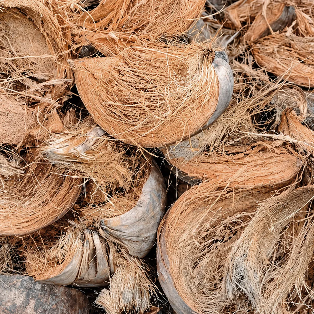 FIB-COCO_10.Teased-Coconut-Fibre.webp