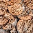 FIB-COCO_10.Teased-Coconut-Fibre.webp