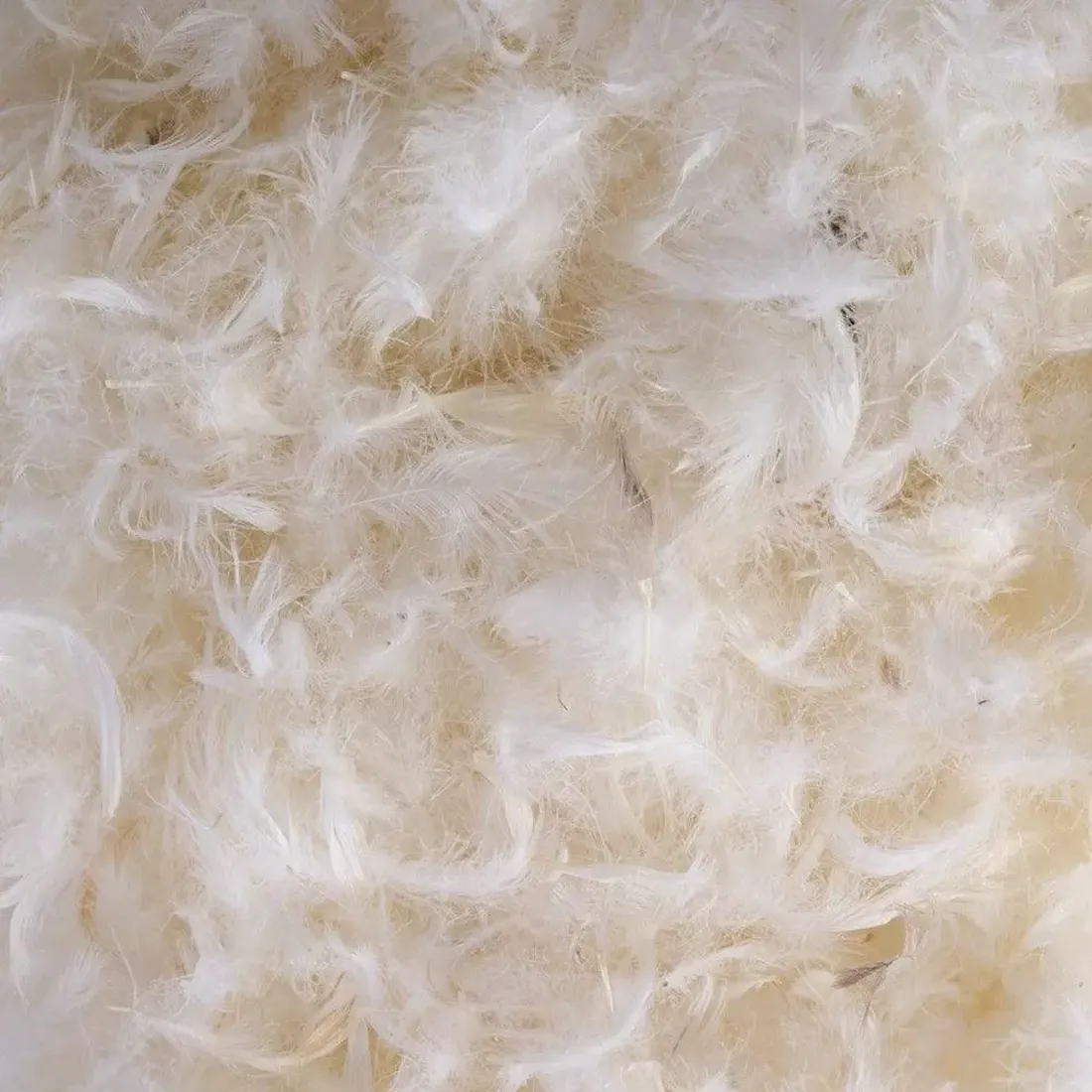 Feather Padding 100% Feather Loose Fill (10kg Bag) | Natural Duck Feather Fill - Sydney ...