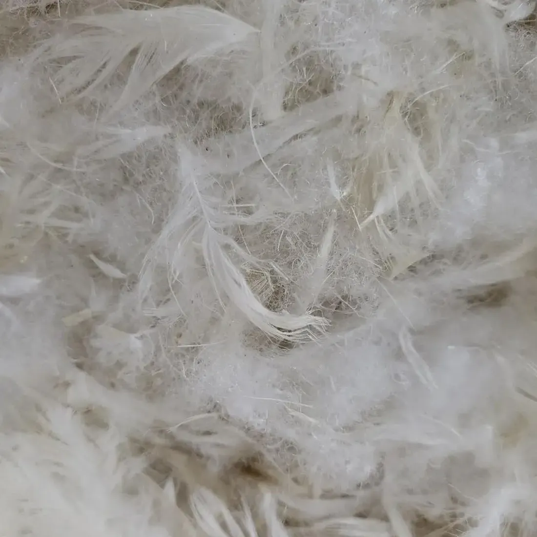 [FIB-FF5050-10KG] Feather+Fibre Mixed Blend Loose Fill (10kg Bag)